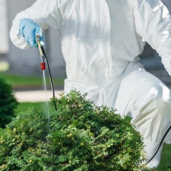 cropped-image-of-pest-control-worker-in-uniform-spraying-chemicals-on-bush.jpg